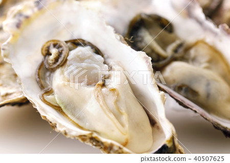 Raw oysters Raw oysters 40507625