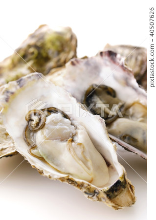 Raw oysters Raw oysters 40507626