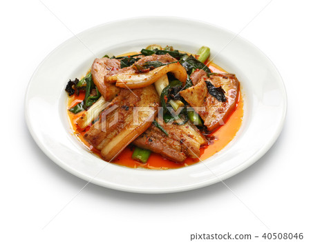 Sichuan style pot meat 40508046