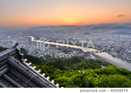 Night view of Gifu castle Kinabeyama Night view of Gifu castle Kinabeyama 40508474