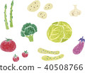 Colored pencil vegetables 40508766