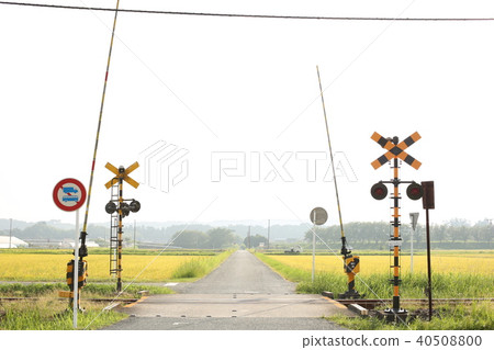 Railroad crossing in the rice field Railroad crossing in the rice field 40508800