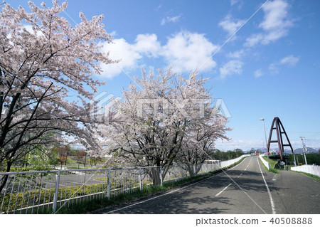 札幌白石自行車道（靠近Yodari Road Otaniji Nishi 1-chome） 40508888