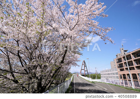 札幌白石自行車道(靠近Yodari Road Otaniji Nishi 1-chome) 札幌白石自行車道(靠近Yodari Road Otaniji Nishi 1-chome) 40508889