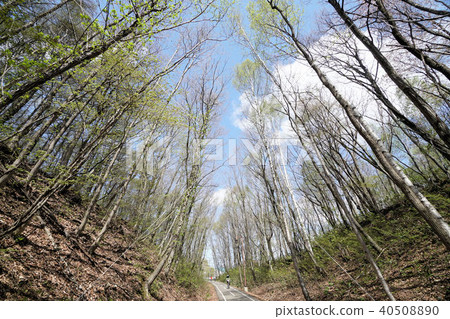 札幌白石自行車道（Odamari Road Atsubetsu South Green Space） 40508890