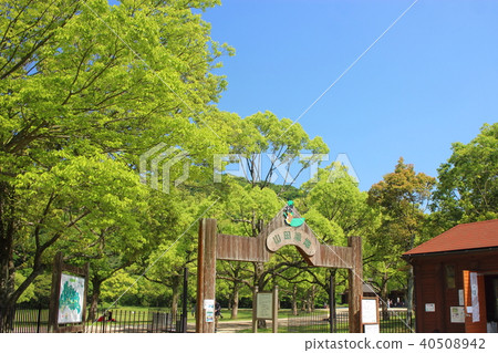 Yamada green space of Kitakyushu 40508942
