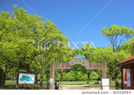 Yamada green space of Kitakyushu 40508944