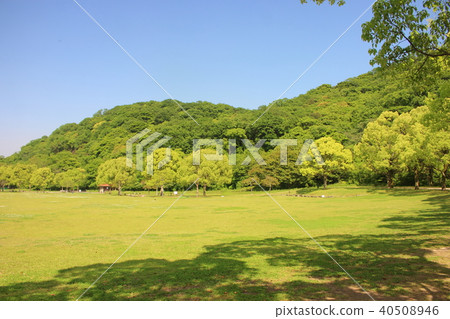Yamada green space of Kitakyushu 40508946
