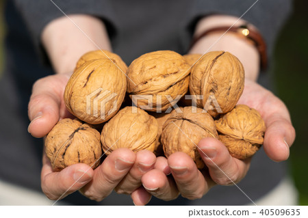 Kurumi Shino Gurumi握著兩隻手 40509635