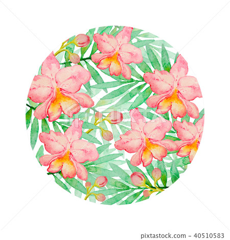 Floral background with pink watercolor orchids Floral background with pink watercolor orchids 40510583
