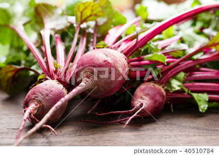 節拍 節拍 40510784