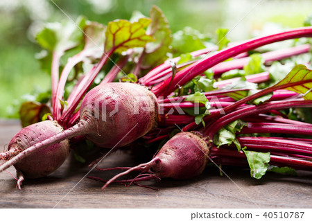 節拍 節拍 40510787