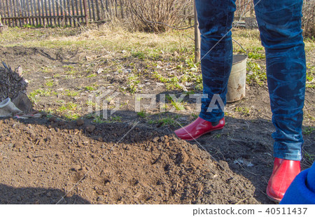 Women's fit in jeans and red rubber boots, a woman farmer stands in his garden prepares the ground 40511437