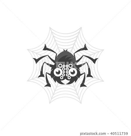 Spider and a Web 40511739