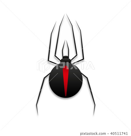 Black widow spider Black widow spider 40511741