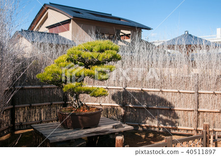 Omiya Bonsai Museum garden, Saitama, Japan 40511897