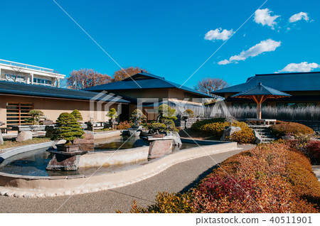 Omiya Bonsai Museum garden, Saitama, Japan 40511901