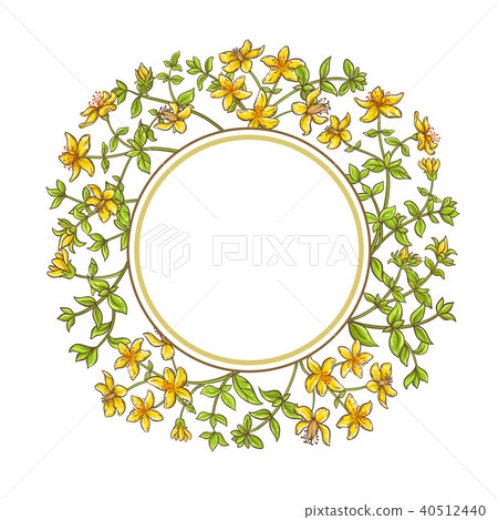 tutsan branch vector frame 40512440