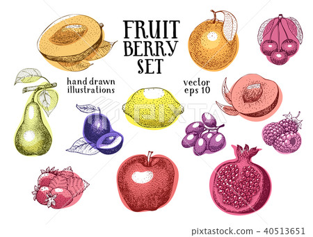 Fruits hand drawn vector illustration set. Retro engraved style illustrations. Can be use for menu Fruits hand drawn vector illustration set. Retro engraved style illustrations. Can be use for menu 40513651