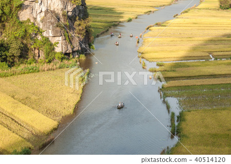 Tam Coc- The best places to see ripening rice fiel Tam Coc- The best places to see ripening rice fiel 40514120