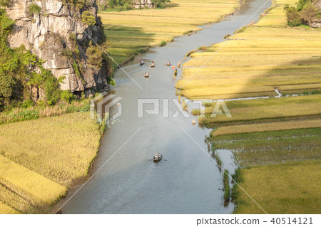 Tam Coc- The best places to see ripening rice fiel Tam Coc- The best places to see ripening rice fiel 40514121