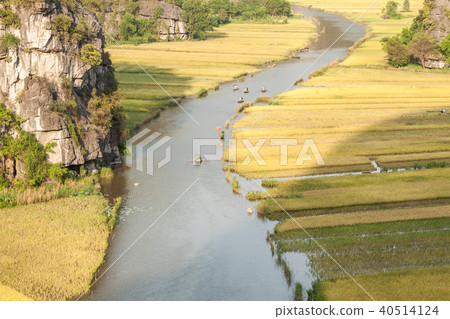 Tam Coc- The best places to see ripening rice fiel 40514124