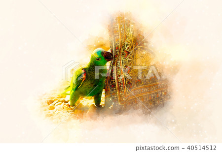 Emerald Green parrot and softly blurred watercolor background. Emerald Green parrot and softly blurred watercolor background. 40514512