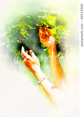gentle prayer to a beautiful linden tree on bright midsummer day and softly blurred watercolor gentle prayer to a beautiful linden tree on bright midsummer day and softly blurred watercolor 40514568