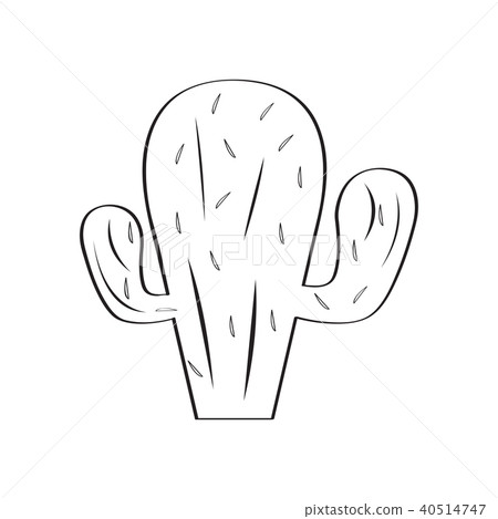 Isolated cactus sketch Isolated cactus sketch 40514747