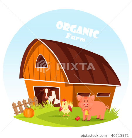 Cow at barn and pig at farm yard Cow at barn and pig at farm yard 40515571