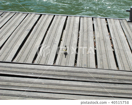 Paris: on the banks of the Seine 40515758
