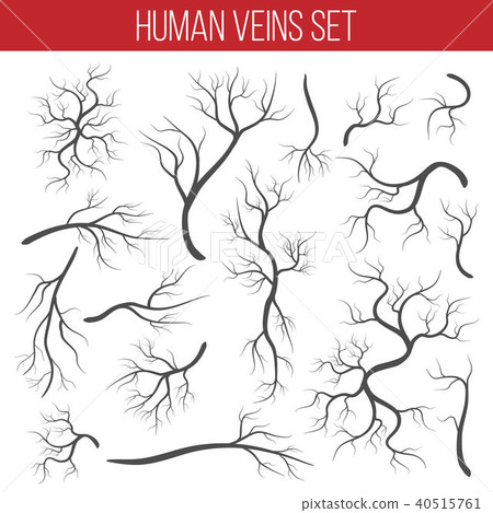 Creative vector illustration of red veins isolated on background. Human vessel, health arteries, Art Creative vector illustration of red veins isolated on background. Human vessel, health arteries, Art 40515761