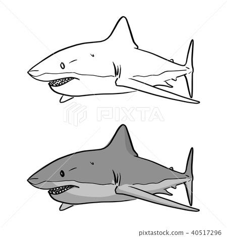 gray shark vector illustration sketch doodle gray shark vector illustration sketch doodle 40517296