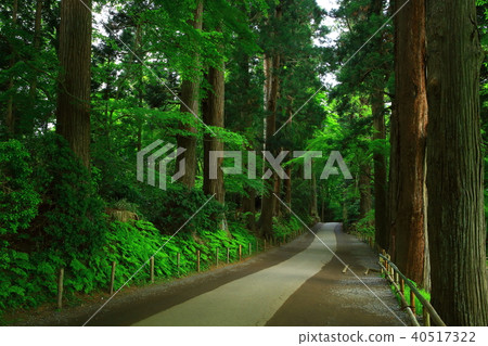 World Heritage Fresh green Chusonji Temple World Heritage Fresh green Chusonji Temple 40517322
