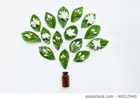Glass Bottle with jasmine flower and leaves. Glass Bottle with jasmine flower and leaves. 40517440