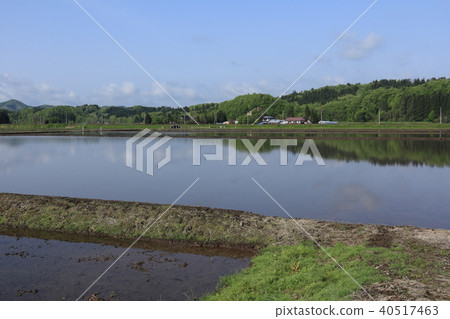 反射在米領域的鄉下風景藍天 反射在米領域的鄉下風景藍天 40517463
