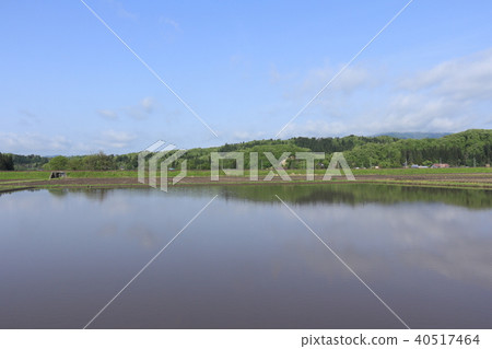 反射在米領域的鄉下風景藍天 反射在米領域的鄉下風景藍天 40517464