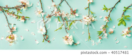 Spring floral background and texture with white almond flowers Spring floral background and texture with white almond flowers 40517481