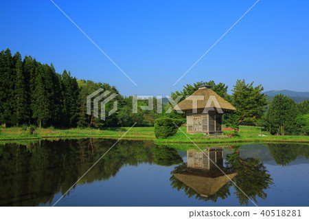 荒川神社 40518281