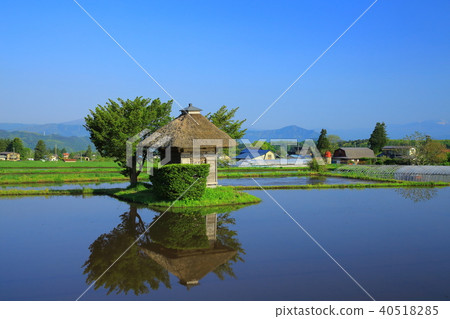 荒川神社 40518285