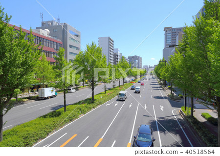 Nagoya city scenery Sakura Dori Nagoya city scenery Sakura Dori 40518564