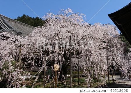 Bishamon Door monument 40518698