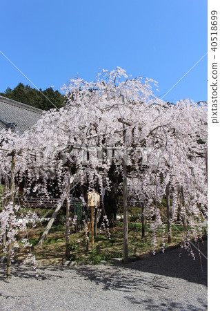 Bishamon Door monument 40518699