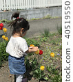 Tulip and girl 40519550