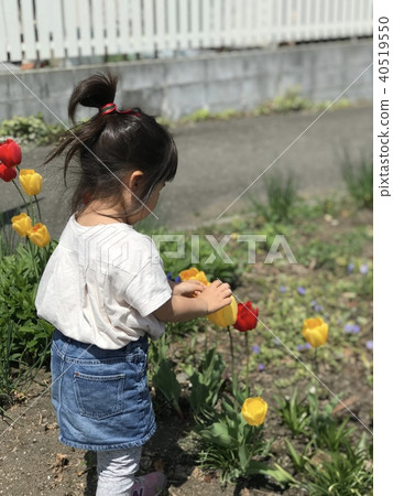 Tulip and girl 40519550