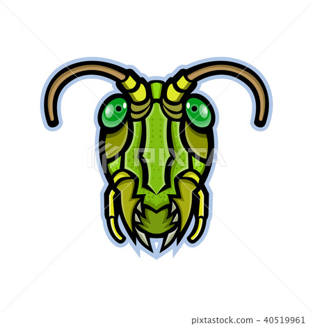 Grasshopper Head Mascot 40519961