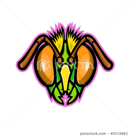 Honey Bee Mascot 40519962