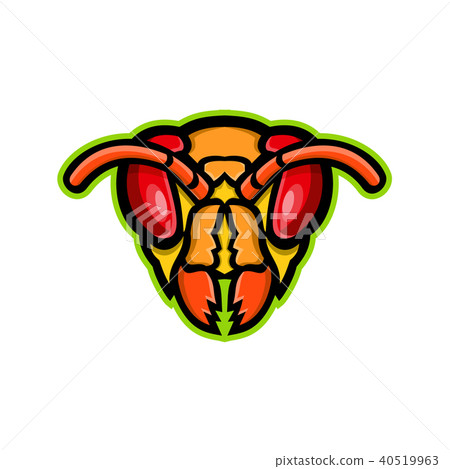 Hornet Head Mascot 40519963
