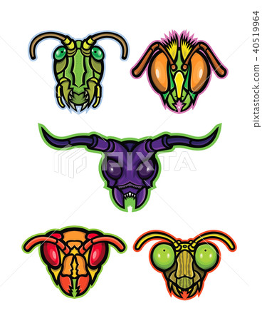 Insects Mascot Collection 40519964