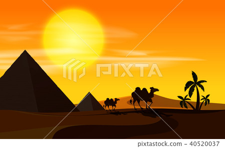 Desert scene with camels at sunset 40520037